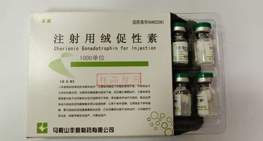 Gonadotrophin chorionique pour l'injection, HCG, poudre blanche, norme d'USP